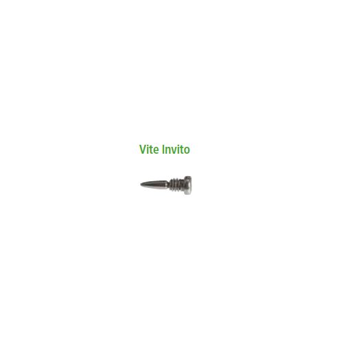 Viti con invito 2.0 1.4 6.5 (500pz) - 9000000007998